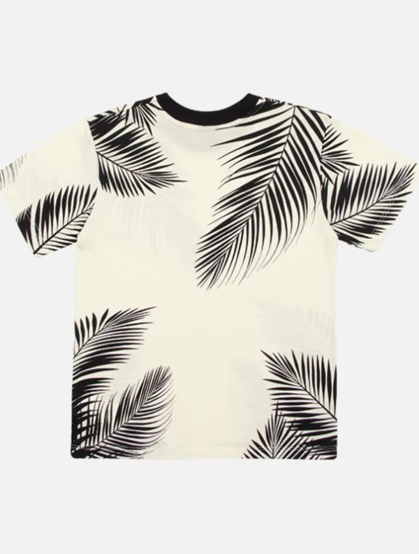 Conjunto Camiseta Estampa Tropical e Bermuda